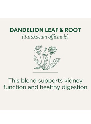 Organic Dandelion Leaf & Root For Detox & Kidney Health, Caffeine Free, 16 Tea Bags 28grams - view 2